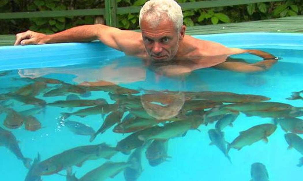 Eσείς θα κολυμπούσατε με πιράνχας; (video)