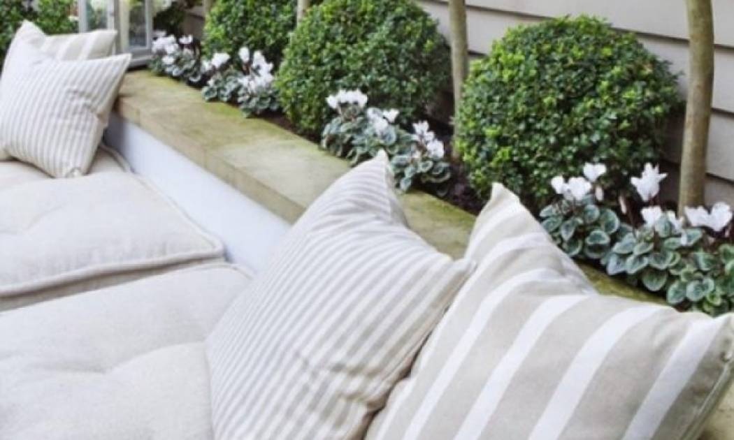 ΖzZzZz! 4+1 φυτά που θα διώξουν τα ανεπιθύμητα κουνούπια από το σπίτι σας