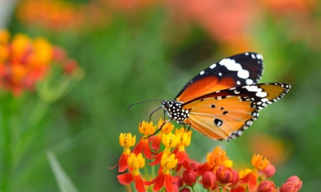 Οι τυχερές και όμορφες στιγμές της ημέρας: Πέμπτη 11 Ιουνίου