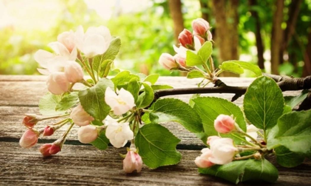 Οι τυχερές και όμορφες στιγμές της ημέρας: Κυριακή 14 Ιουνίου