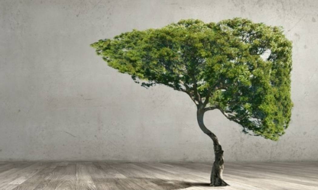 Πολυκυστική νόσος του ήπατος: Χτυπά μετά τα 40 - Ενημερωθείτε για τα συμπτώματα