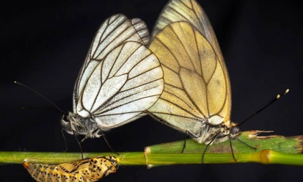 Αστρολογικό δελτίο για όλα τα ζώδια, από 4/7 έως 7/7