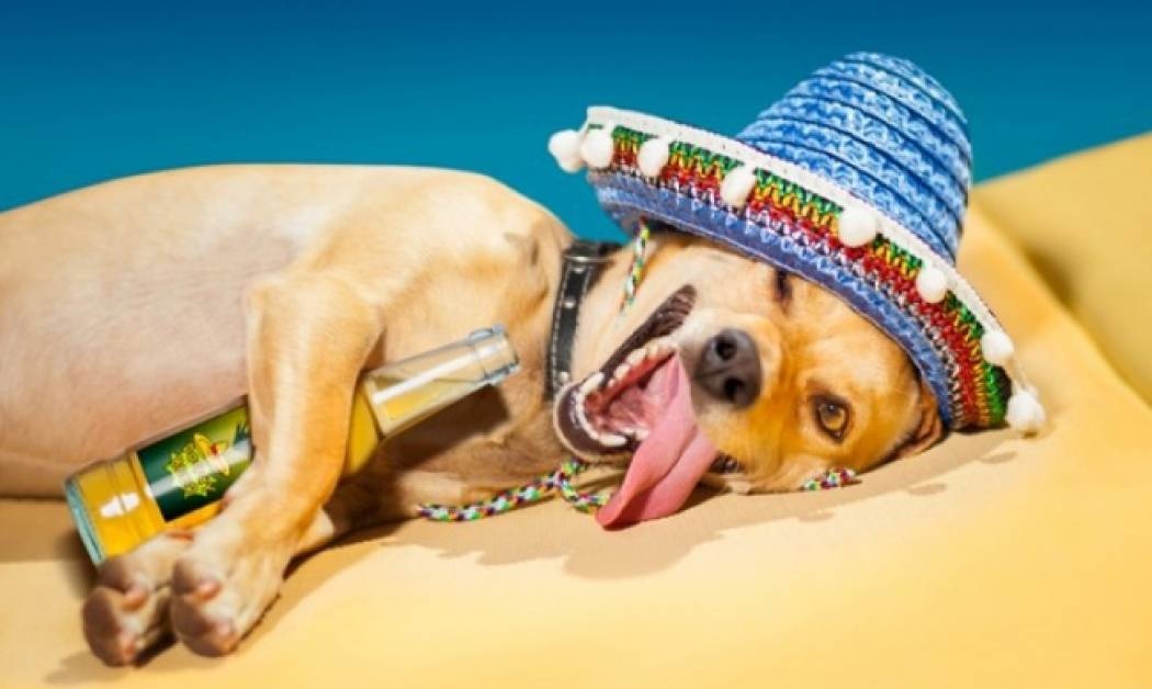 Τεστ μεθυσμένης προσωπικότητας: Τι τύπος είσαι όταν πίνεις;