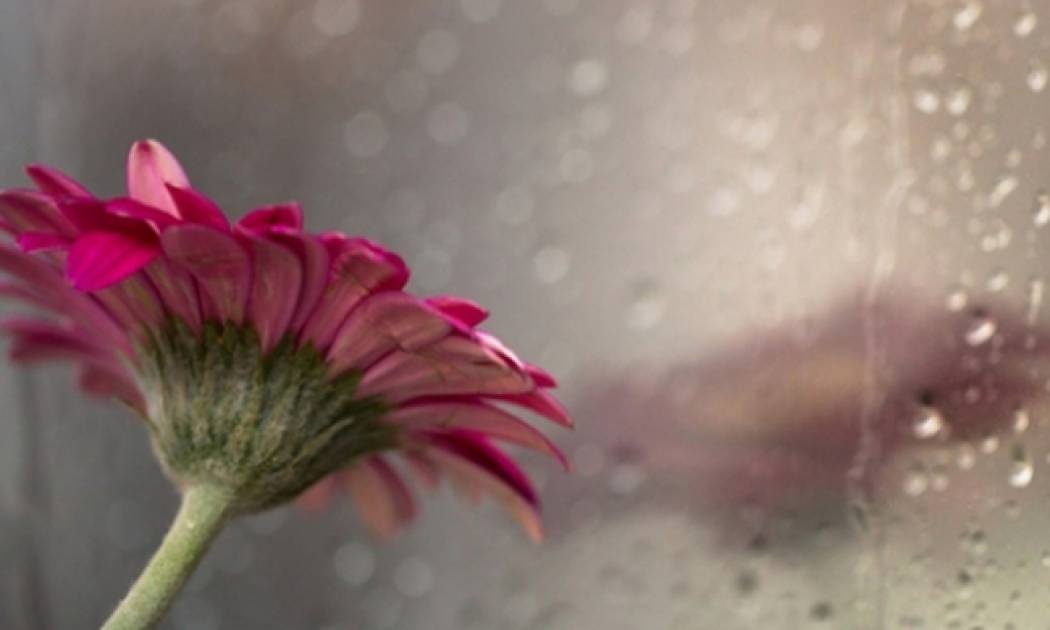 Καιρός: Με μπουρίνια η πρώτη εβδομάδα του Αυγούστου