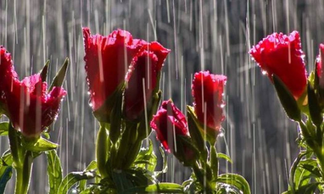 Καιρός: Αυγουστιάτικα μπουρίνια και 35αρια (vid)