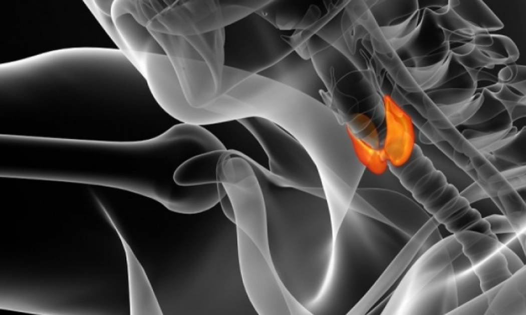 Τα βασικότερα σημάδια που δείχνουν πρόβλημα στο θυρεοειδή