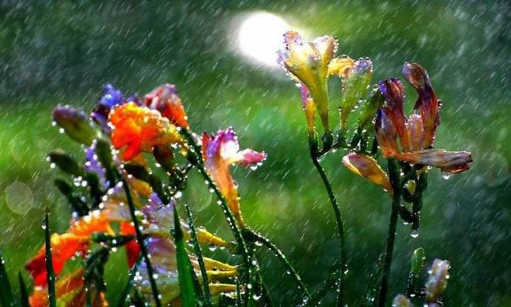 Καιρός: Βροχές, καταιγίδες και χαλάζι το Σαββατοκύριακο