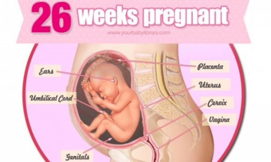 Εγκυμοσύνη ανά εβδομάδα: 26η εβδομάδα της κύησης!