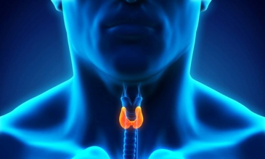 Αυξημένη παραθορμόνη: Τα συμπτώματα που δείχνουν πρόβλημα στους παραθυρεοειδείς