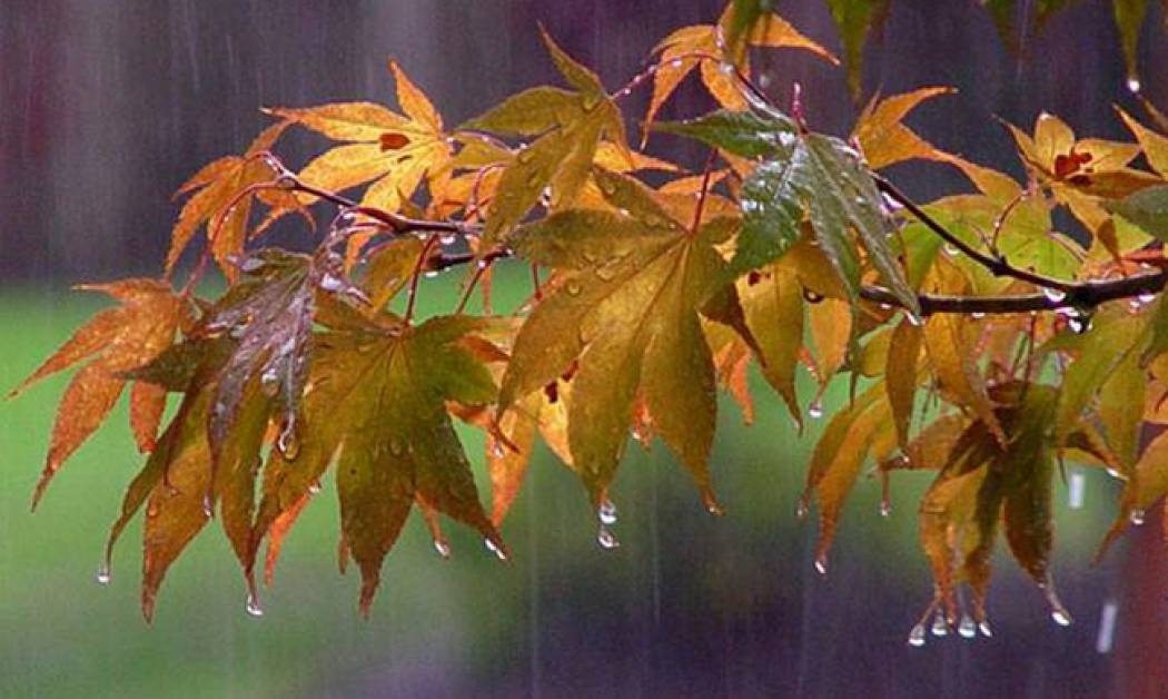 Καιρός: Αλλάζει το σκηνικό τη Δευτέρα (7/9) - Έρχονται βροχές και καταιγίδες