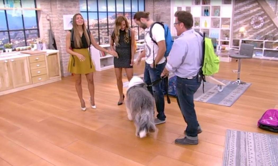 Happy Day: Δείτε πως ευχήθηκε η ομάδα «καλή σχολική χρονιά»!