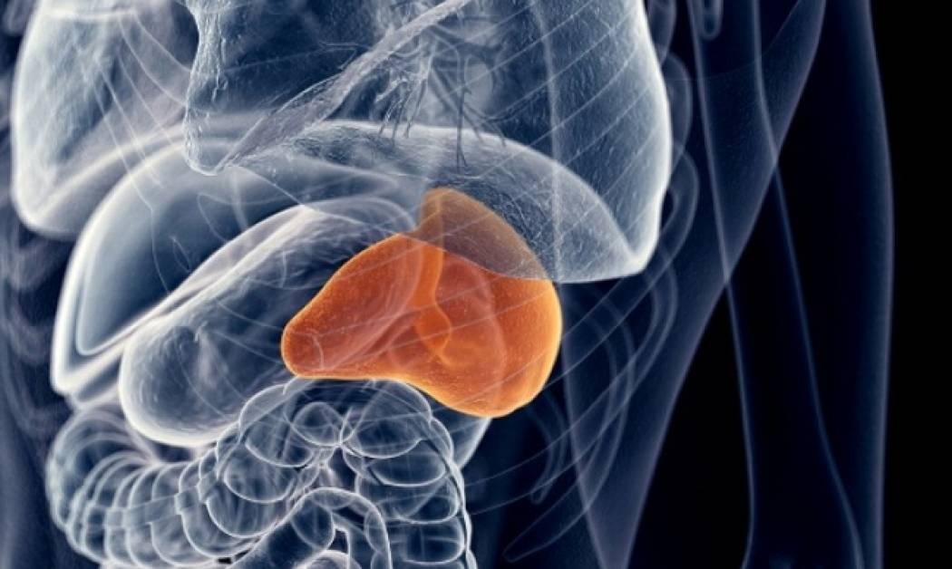 Διόγκωση σπλήνα: Ποια είναι τα ανησυχητικά σημάδια