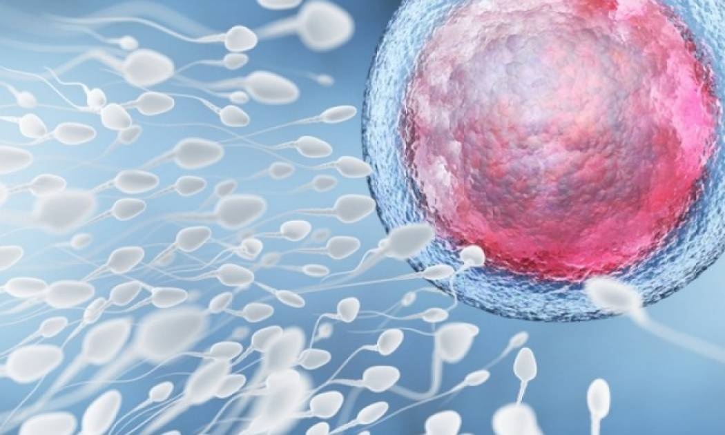 Ποια είναι η καλύτερη στάση στο σεξ για να συλλάβετε