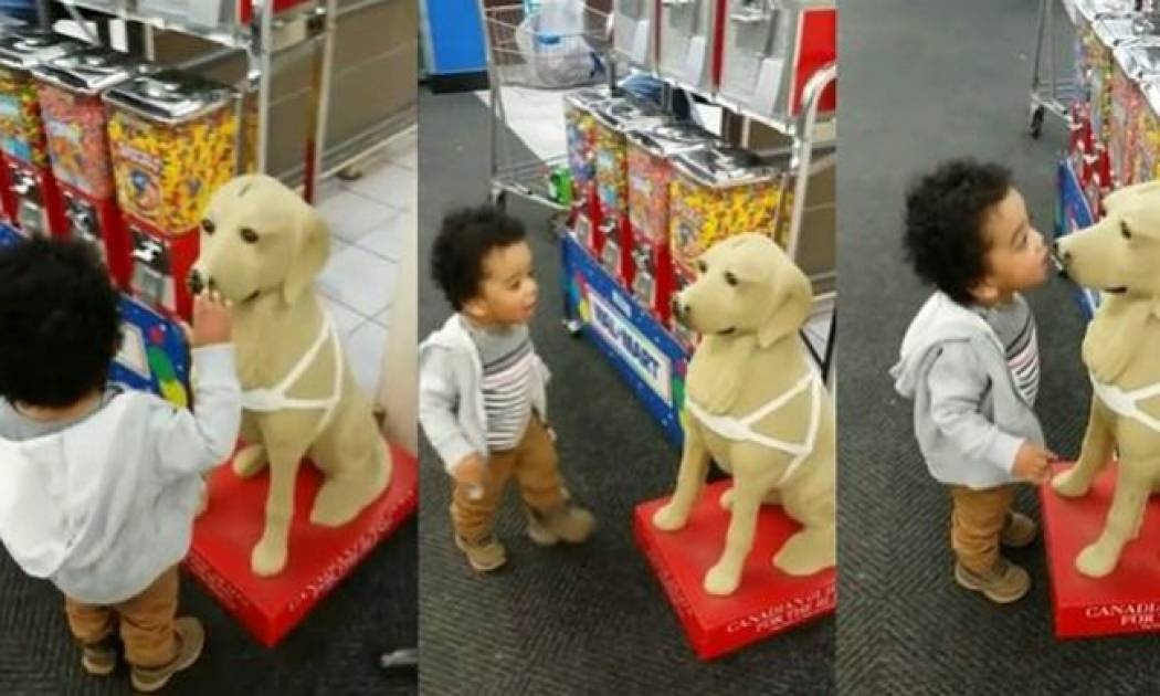 Νήπιο μπερδεύει το άγαλμα με πραγματικό σκύλο. Δείτε το ξεκαρδιστικό βίντεο