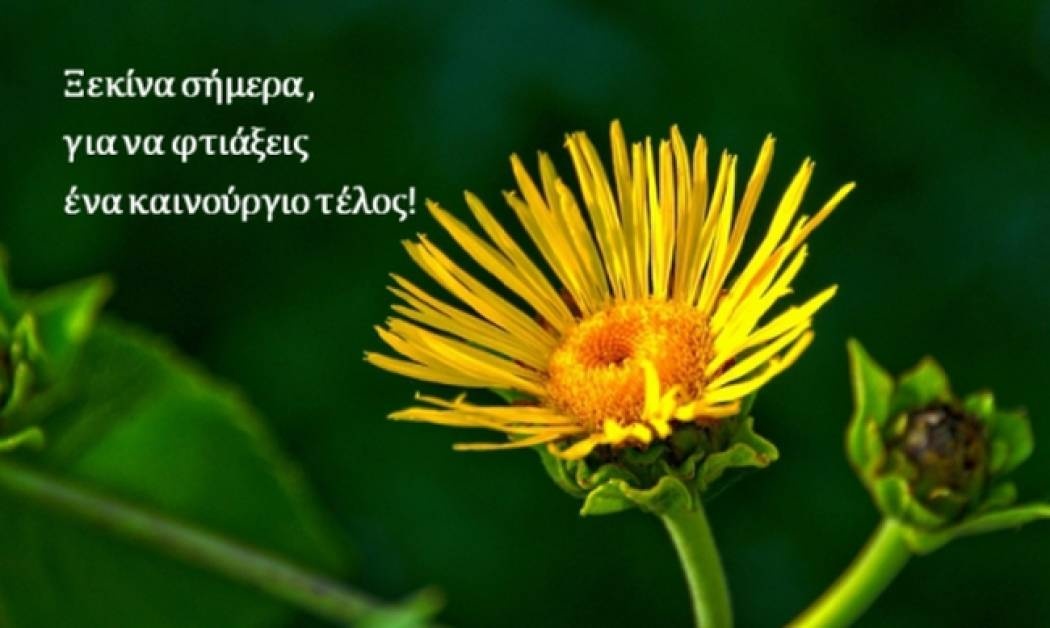 Τι λένε τα άστρα σήμερα, 11/11;