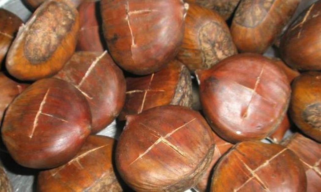 Τσίπρας και Καμμένος τσακίζουν τη διαπλοκή: Συνέλαβαν 92χρονο καστανά χωρίς ταμειακή!