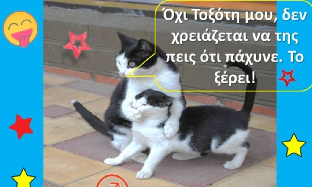 5... αλήθειες για τον Τοξότη: Αντέχεις να τις μάθεις; Μερικές πονάνε, γι’ αυτό, πρόσεχε!