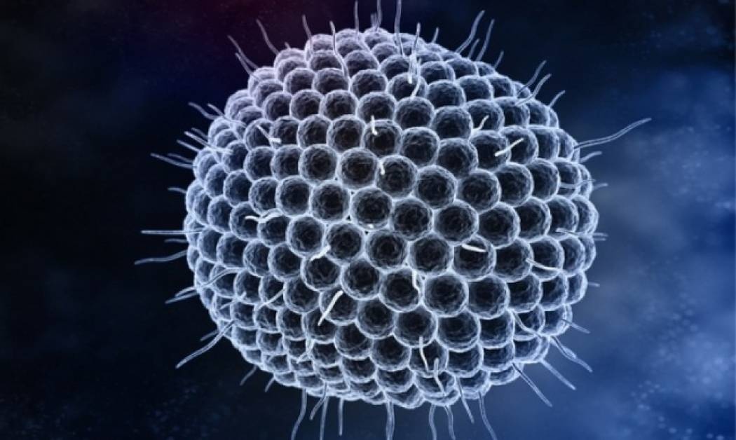 Έρπης ζωστήρ: Δείτε πόσο αυξάνει τον κίνδυνο εμφράγματος και εγκεφαλικού