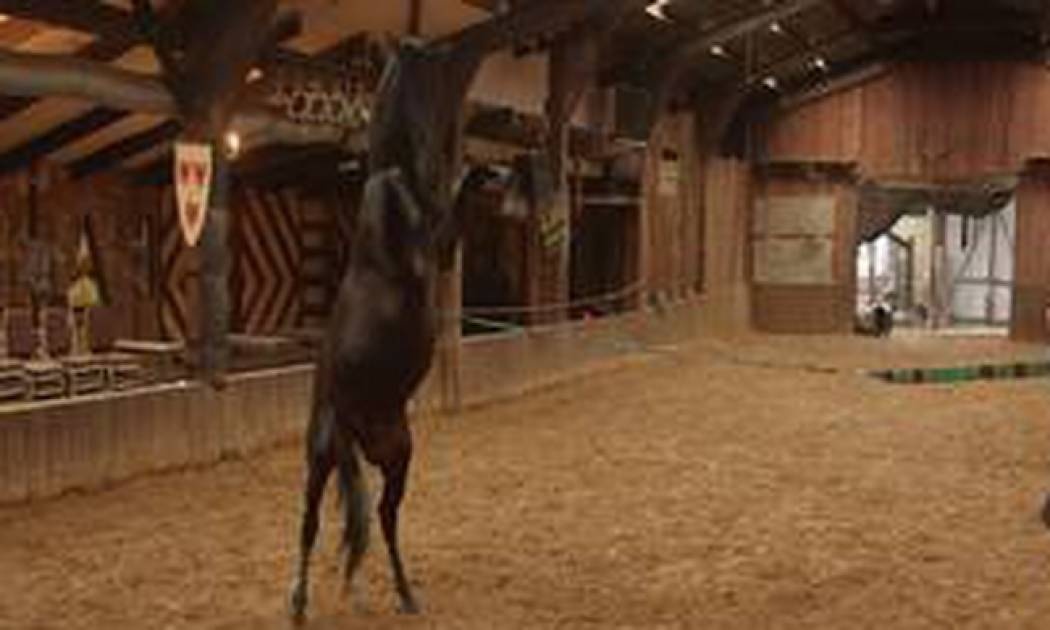 Εκπαιδεύοντας τα άλογα του Game of Thrones