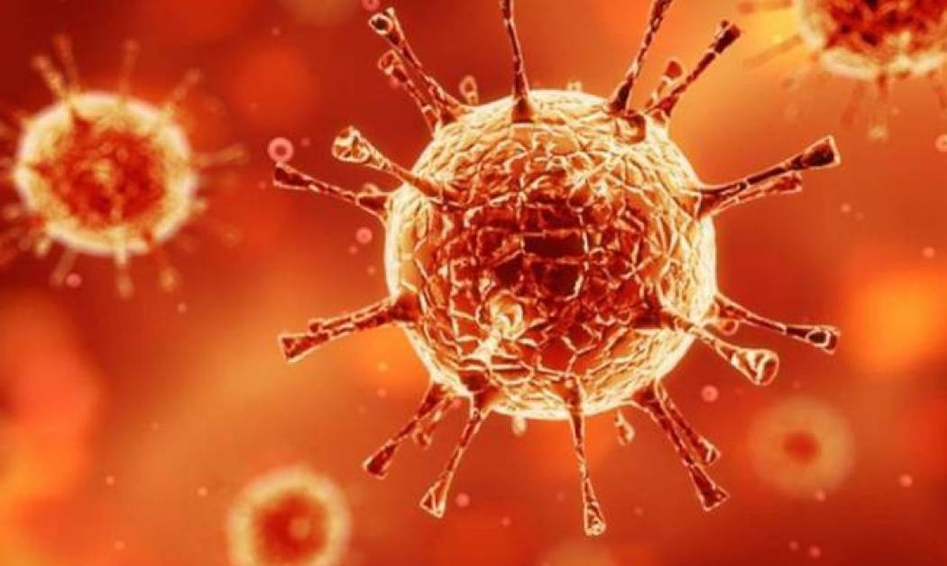 Συναγερμός στην Ευρώπη: Ο ιός Ζίκα εντοπίστηκε στη Δανία (Vid)