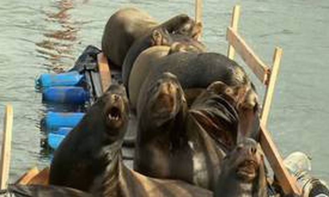 Οι θορυβώδεις «καταληψίες» που σήκωσαν στο πόδι μια πόλη