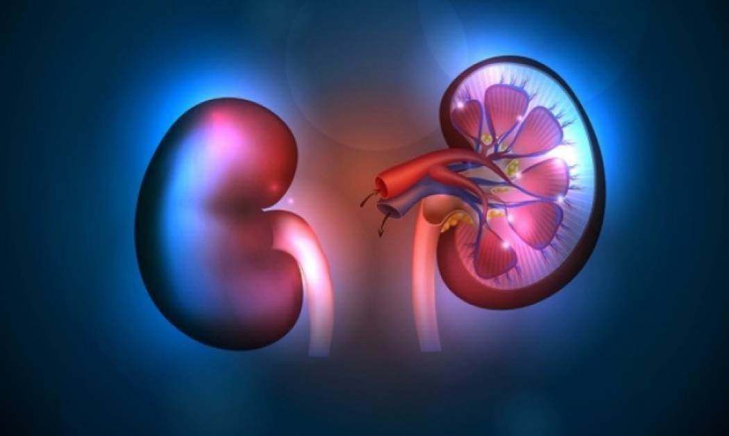 Νεφροκυτταρικός καρκίνος: Η διατροφή που αυξάνει τον κίνδυνο
