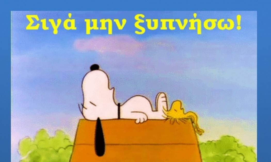 Η τυπική ημέρα ενός τυπικού Ιχθύ...