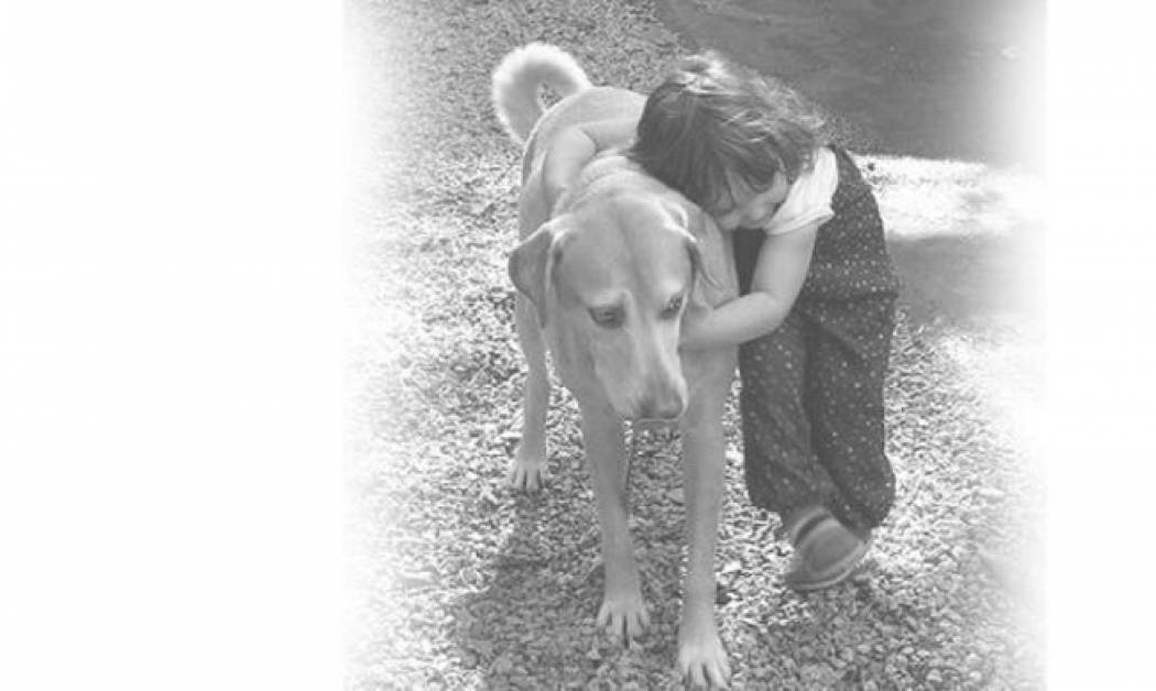 Ευθανασία... Πώς προετοιμάζουμε το παιδί μας