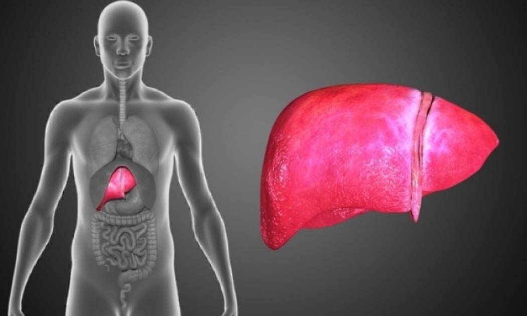 Λιπώδες ήπαρ: Τι είναι και γιατί συνιστά απειλή για την καρδιά