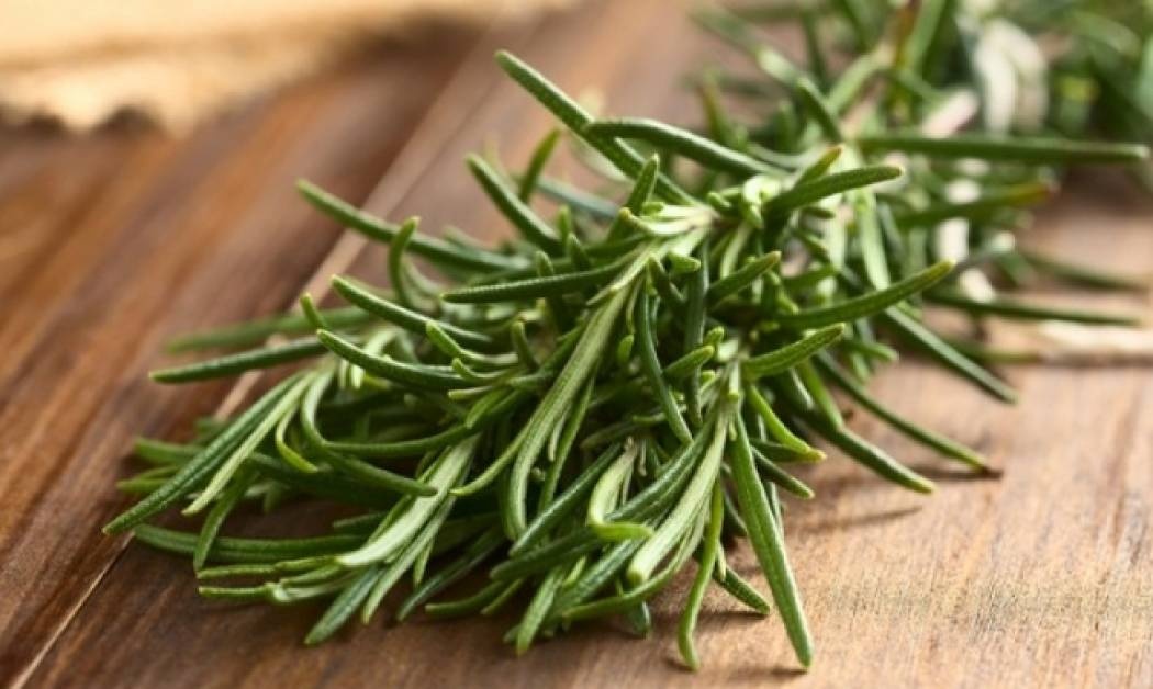 Τα 2 βότανα που ενισχύουν τη μνήμη