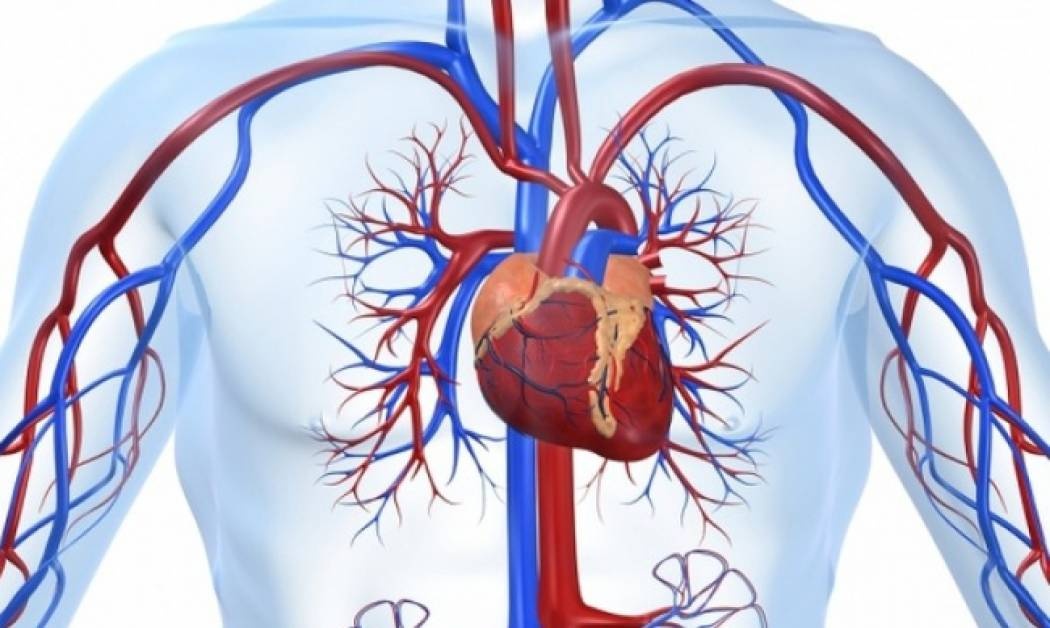 Στένωση αορτικής βαλβίδας: Τα τρία βασικά "καμπανάκια"