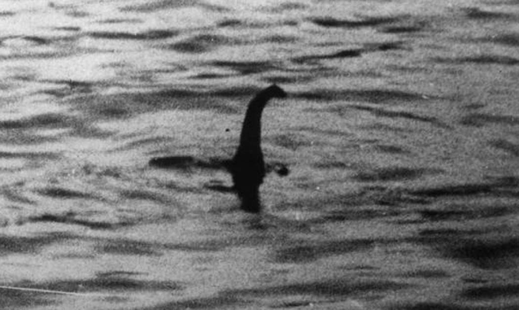 Βρέθηκε το τέρας του Λοχ Νες και είναι νεκρό! (Pics)