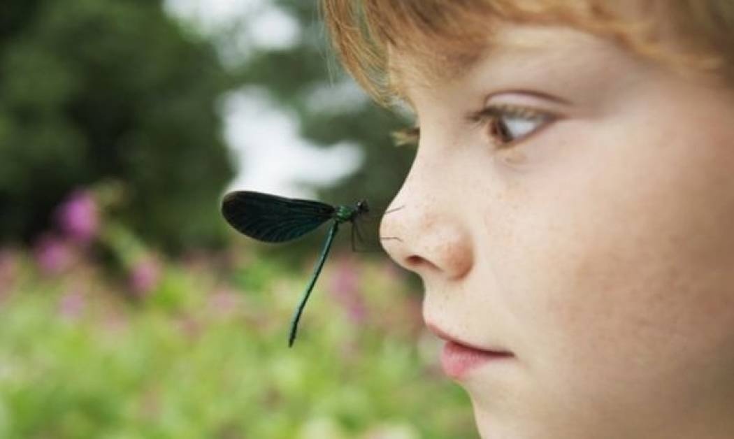 Πώς να προστατέψετε τα παιδιά από τα κουνούπια