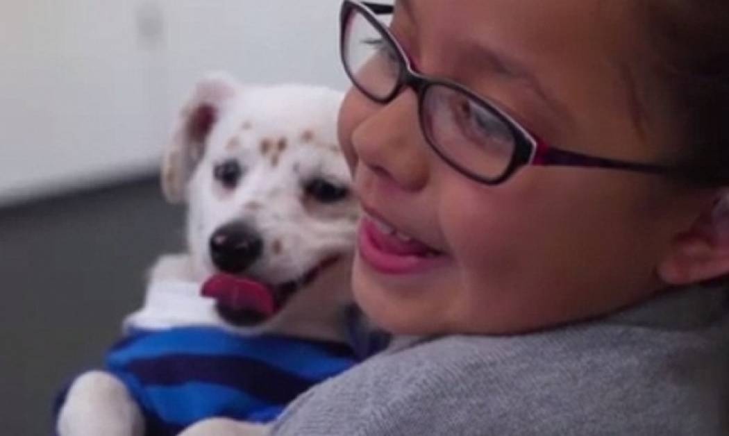 Τζούλια και Γουόλτερ – Μια φιλία μοναδική (βίντεο)