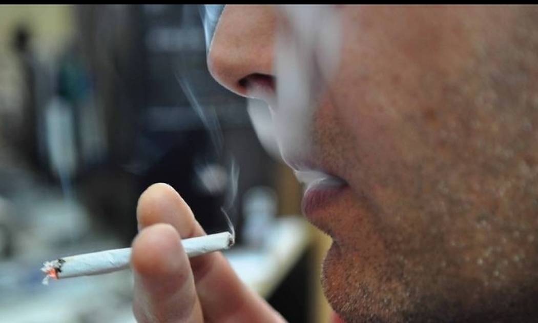 Πέντε τρισεκατομμύρια γόπες εκτός... ελέγχου