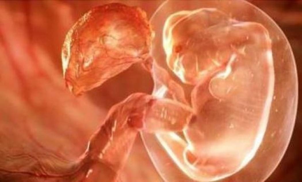 «Από τη σύλληψη ως τη γέννα», ένα εκπληκτικό βίντεο!