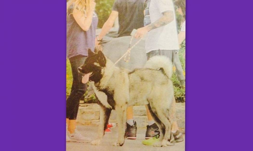 Ποιος χωρισμός; Το ζευγάρι τις ελληνικής showbiz κάνει τις πρώτες διακοπές μαζί (φωτό-ντοκουμέντο)