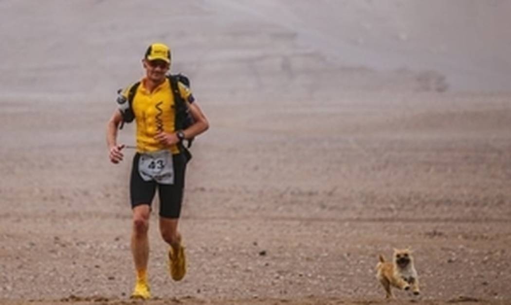 Σκύλος έτρεξε υπερμαραθώνιο για τα μάτια... δρομέα!