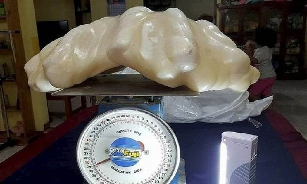 Ψαράς έκρυβε στο στρώμα 88,5 εκατ. ευρώ χωρίς να το ξέρει! (video)