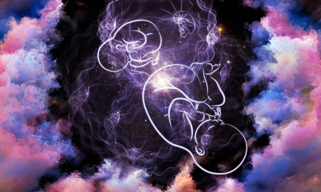 Από ωάριο μωρό! Το θαύμα της ζωής μέσα από μία εικόνα!