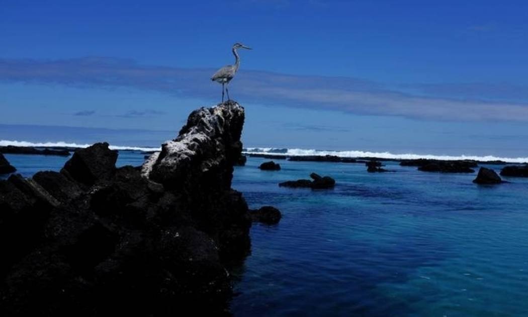 Εντυπωσιακές εικόνες από τα νησιά Γκαλαπάγκος