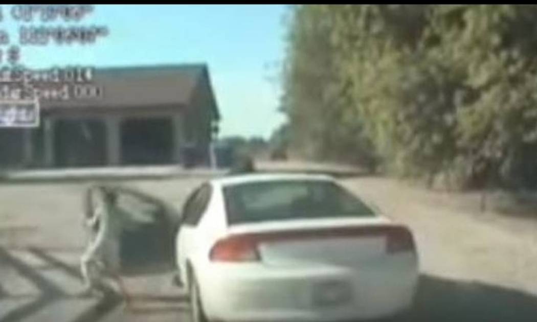 Εντεκάχρονη έκλεψε το ΙΧ της μητέρας της και σήκωσε την αστυνομία στο πόδι