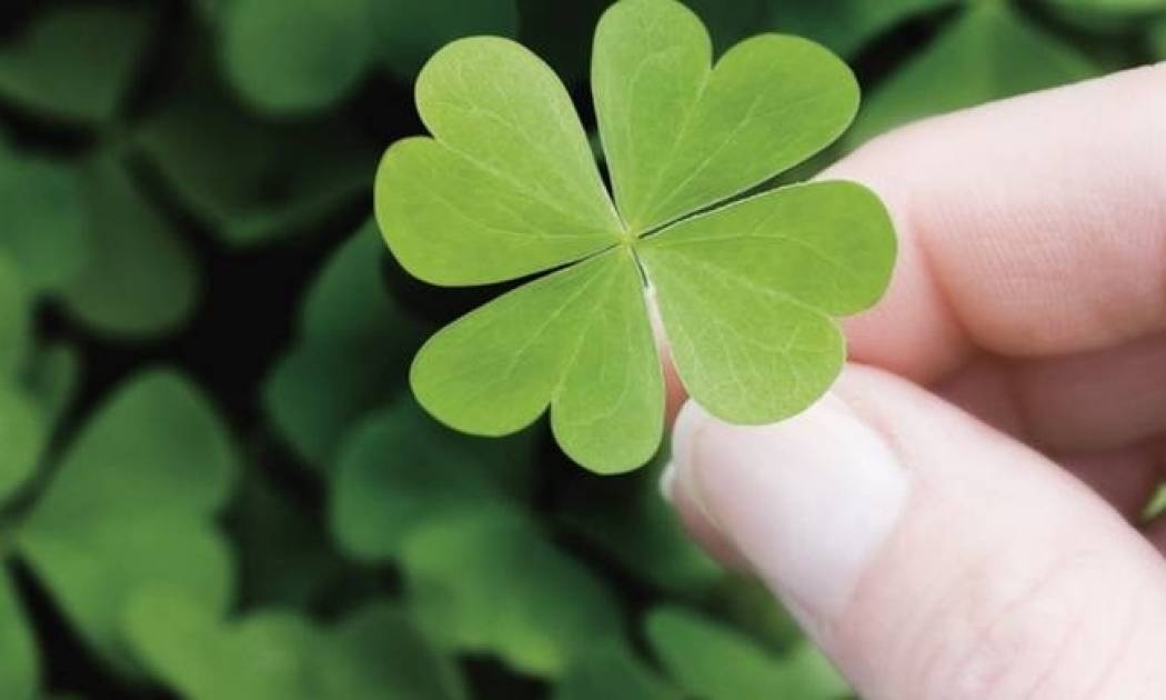 Ρόδος: Πώς με 2,5 ευρώ έλυσε μια για πάντα το οικονομικό του πρόβλημα!