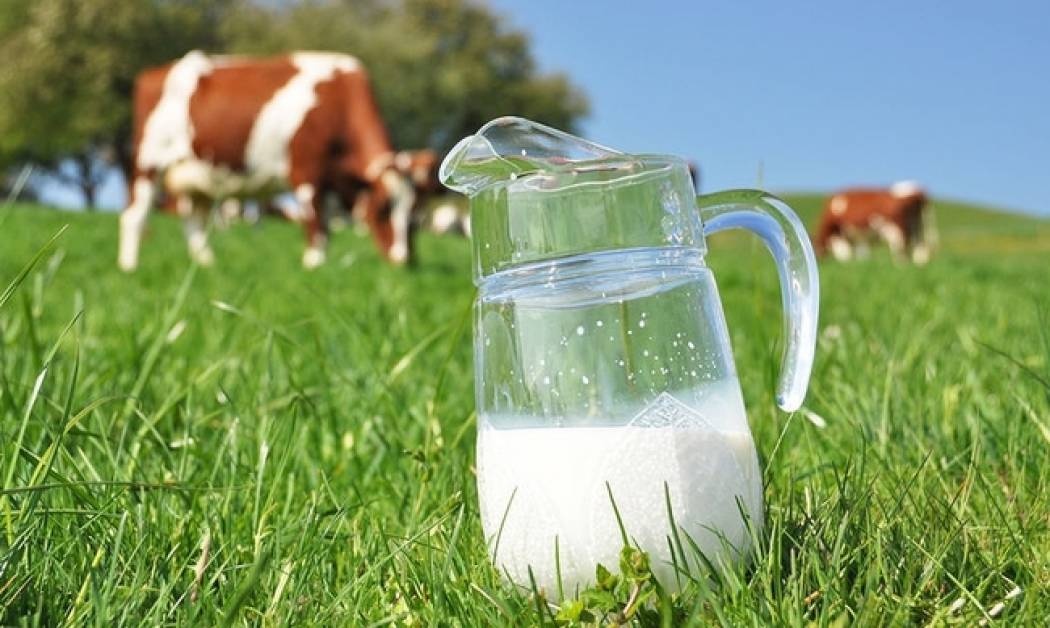 Ποιο γάλα να επιλέξετε αν έχετε ανεβασμένη χοληστερίνη