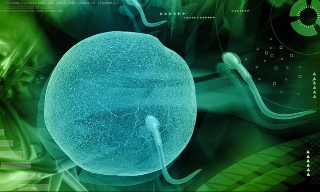 Γονιμότητα άνδρα: Οι τροφές που την ενισχύουν