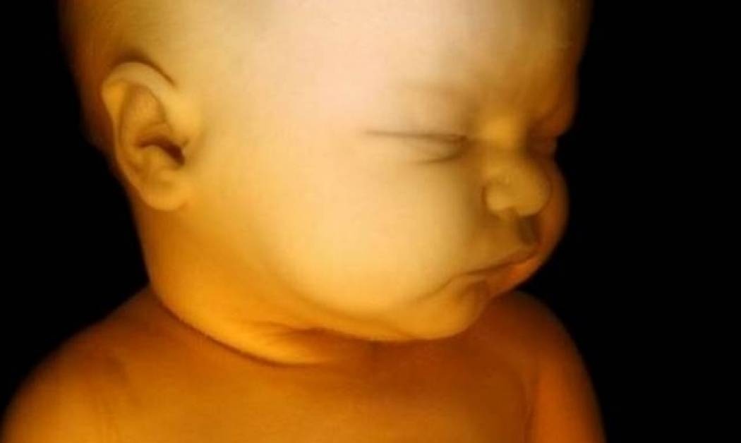 Ανακαλύψτε τι γεύεται ένα μωρό μέσα στη μήτρα