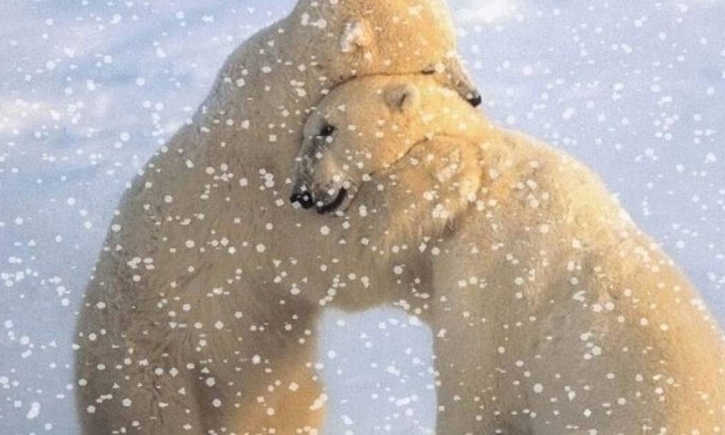 Νέα μελέτη: Πιο κοντά στο σημείο χωρίς επιστροφή λόγω κλιματικής αλλαγής