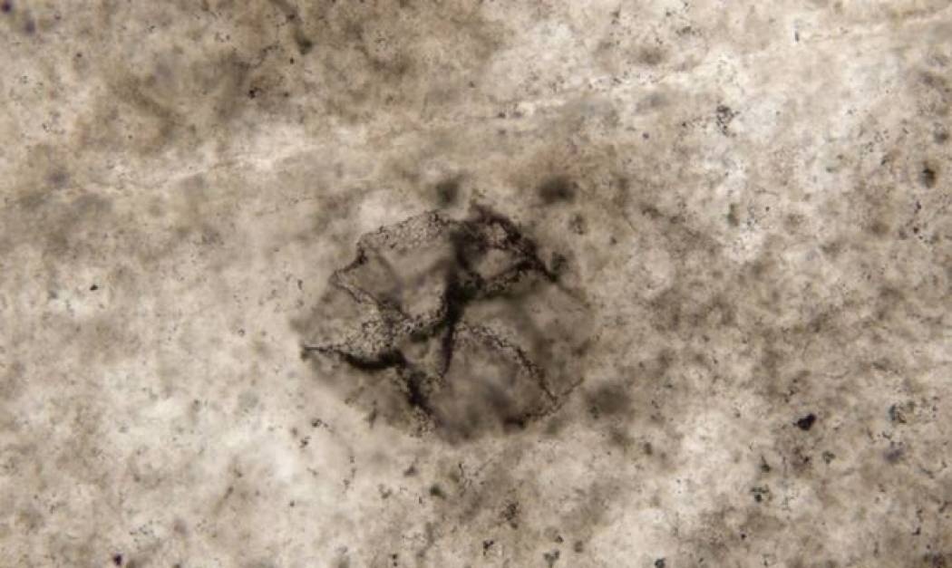 Επιστήμονες ανακάλυψαν μορφές ζωής στην προ-οξυγόνου περίοδο