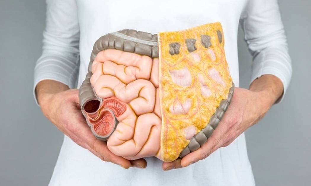 Πάρκινσον: Ποια η σχέση του με τα μικρόβια του εντέρου