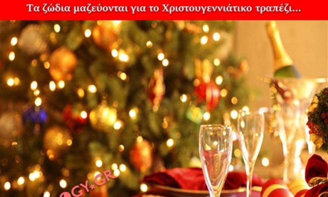 Τα 12 ζώδια μαζεύονται για το Χριστουγεννιάτικο τραπέζι...
